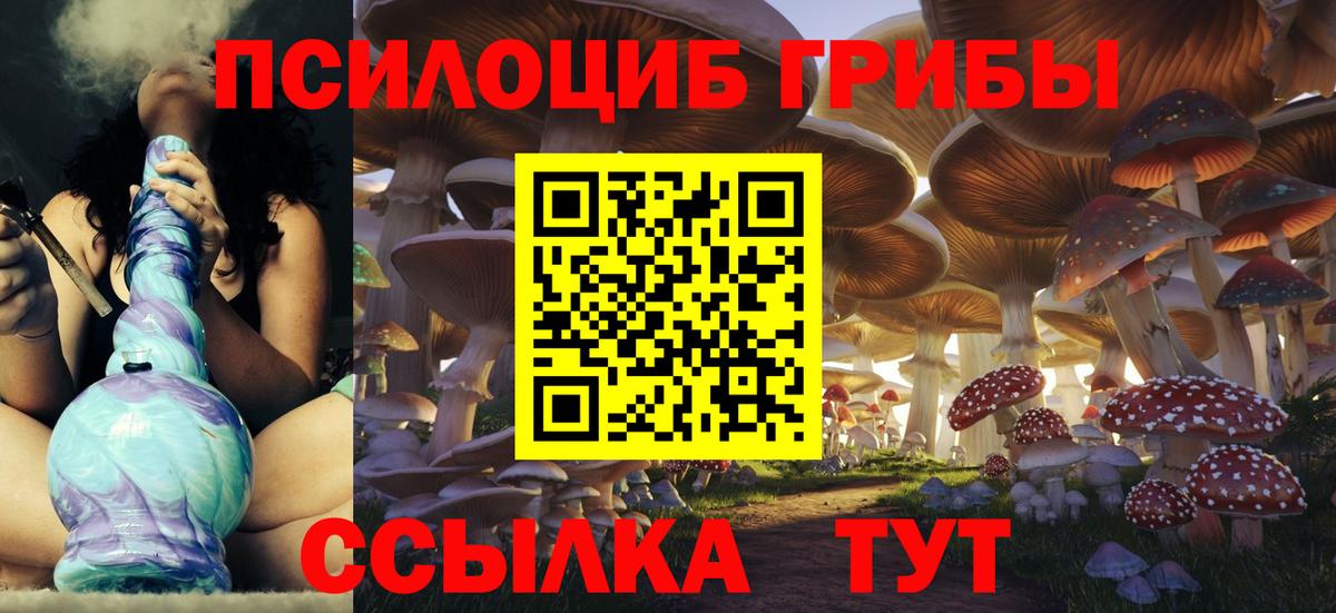 Псилоцибиновые грибы мицелий Краснознаменск