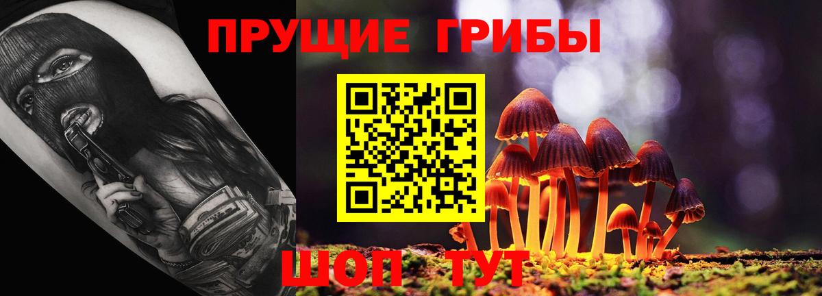 Краснознаменск  Псилоцибиновые грибы мицелий  Вход с VPN 